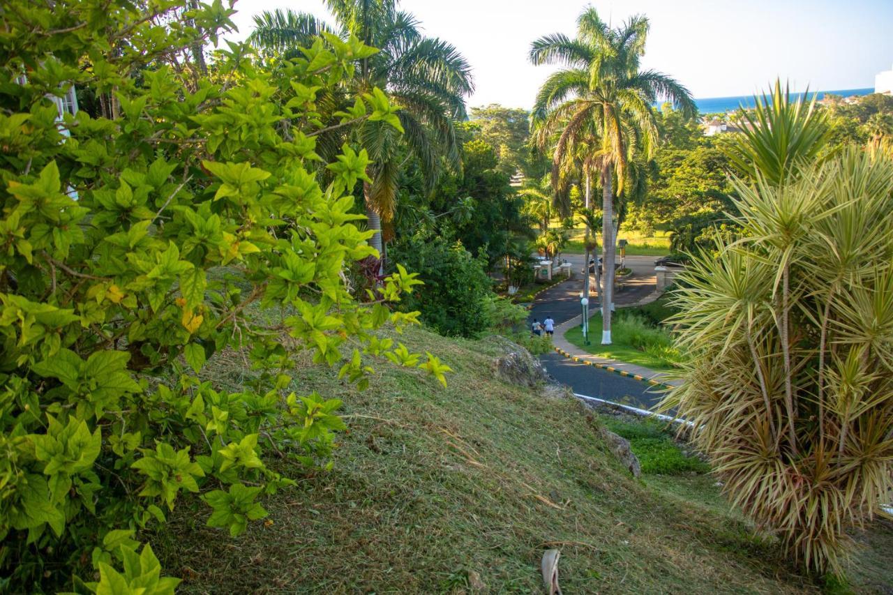 Apartmán E 20 Mystic Ridge Ocho Rios Exteriér fotografie